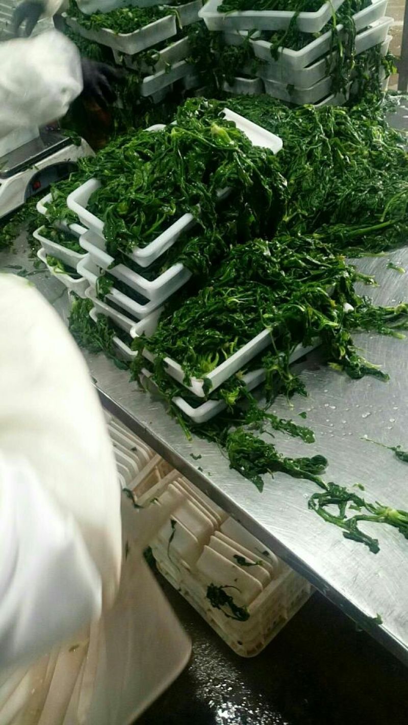 速冻荠菜