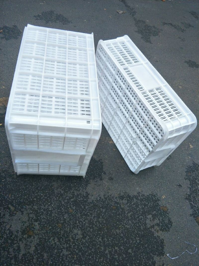 号称龙虾框[鼓掌]两款，高款长60-宽4