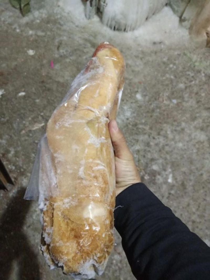 羊肚
