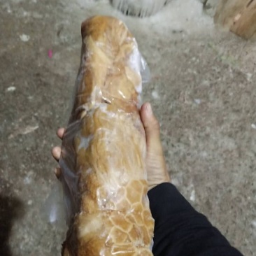 羊肚