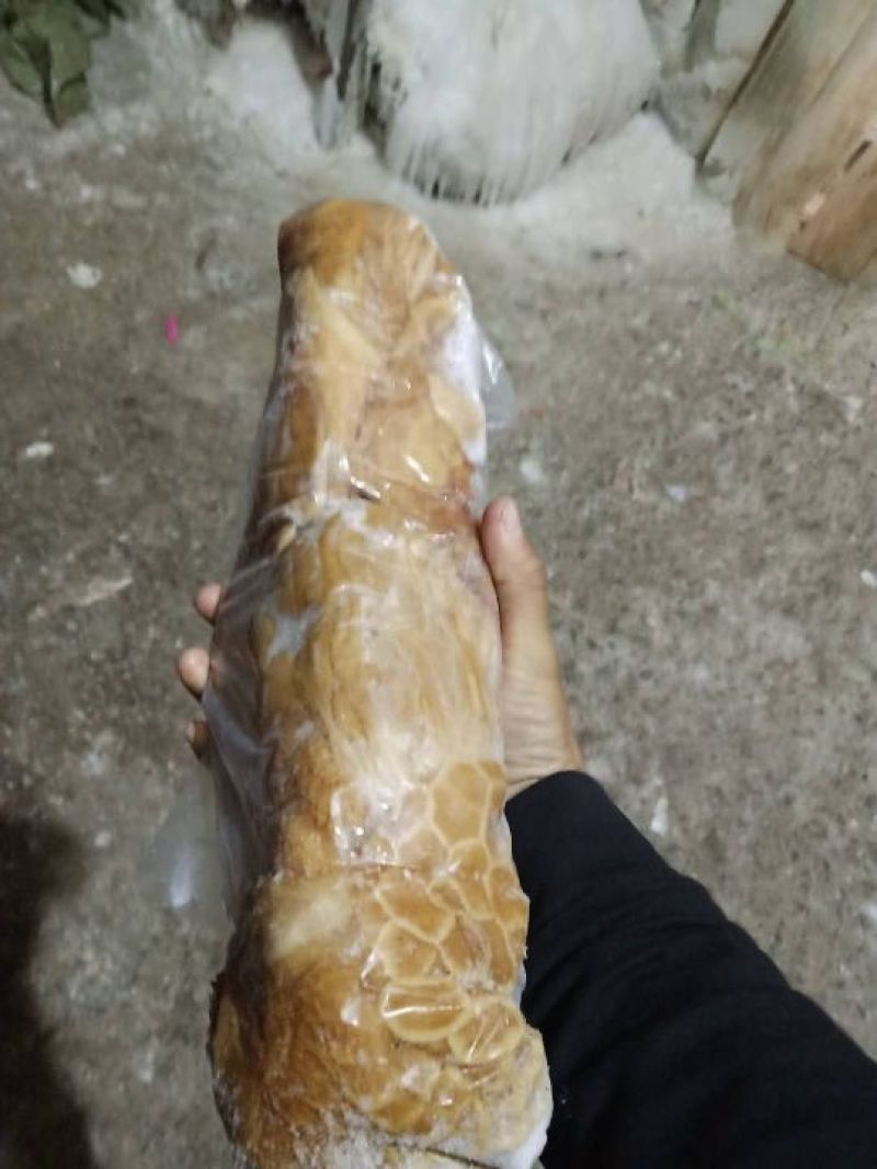 羊肚