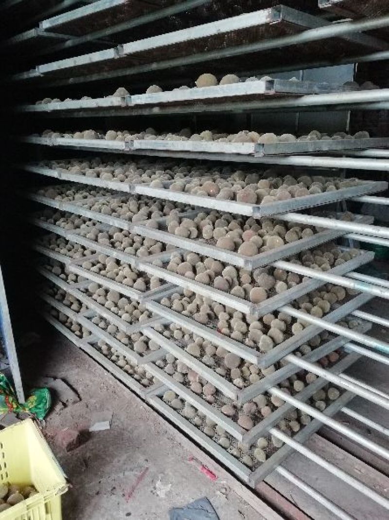 化橘红化州橘红化桔红橘红产地直发化橘红果农价格实惠