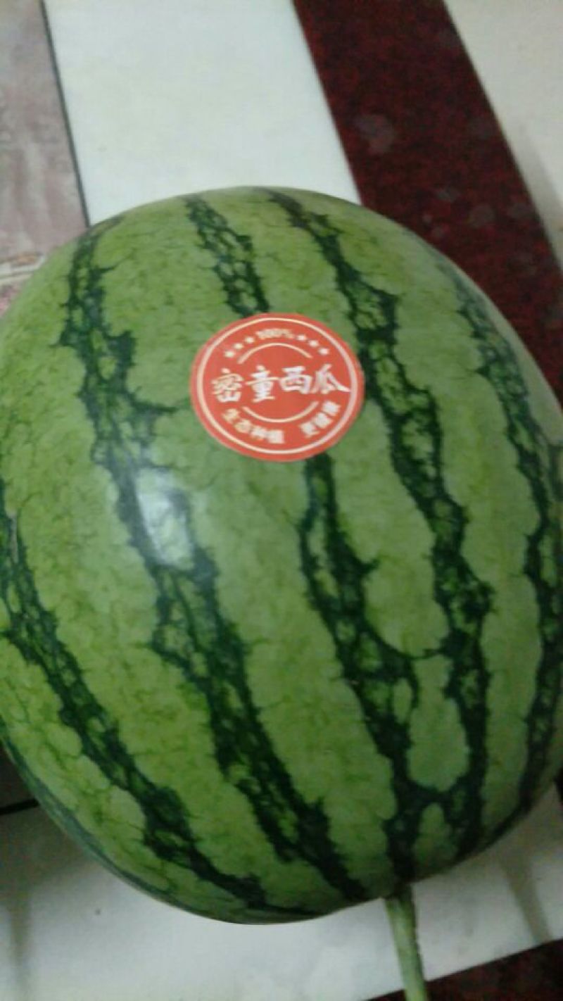 密童无仔吊瓜