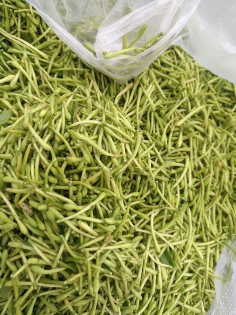 金银花色青花