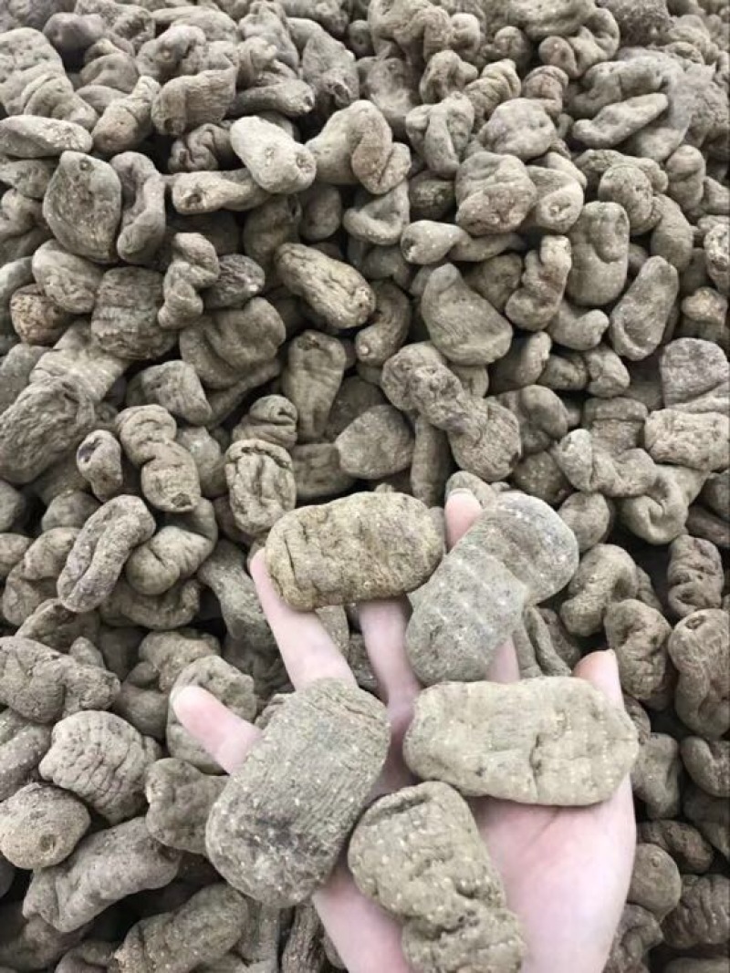 天麻粉