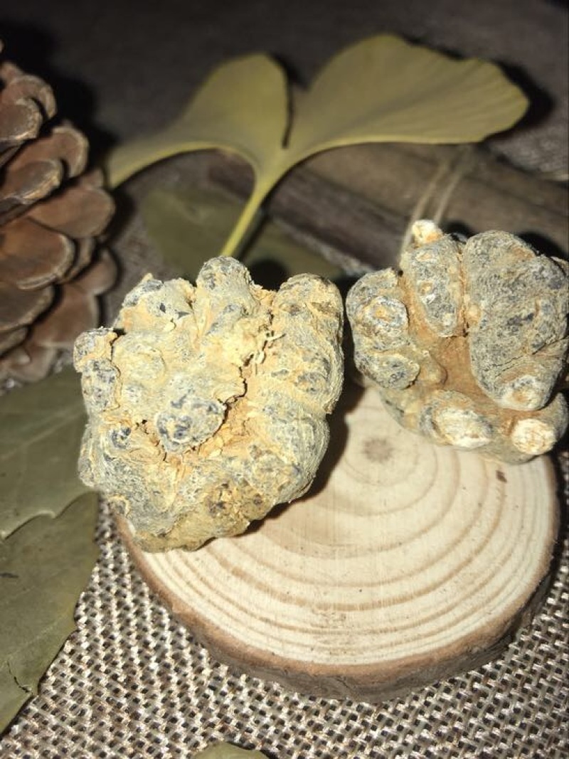 三七粉细粉