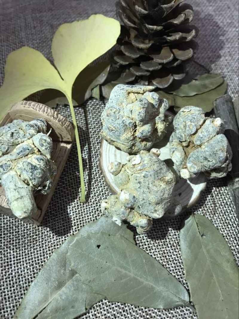 三七粉细粉