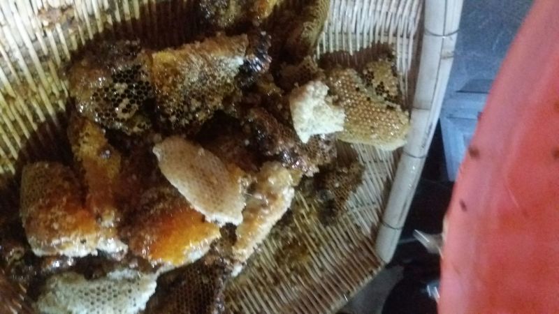 土蜂蜜100%纯不喂养***，酿蜜周期长