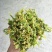 花菜干，2022年现货，新货上市，脱水蔬菜，烘干花菜