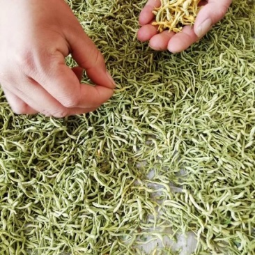 金银花山东绿货(包含量)