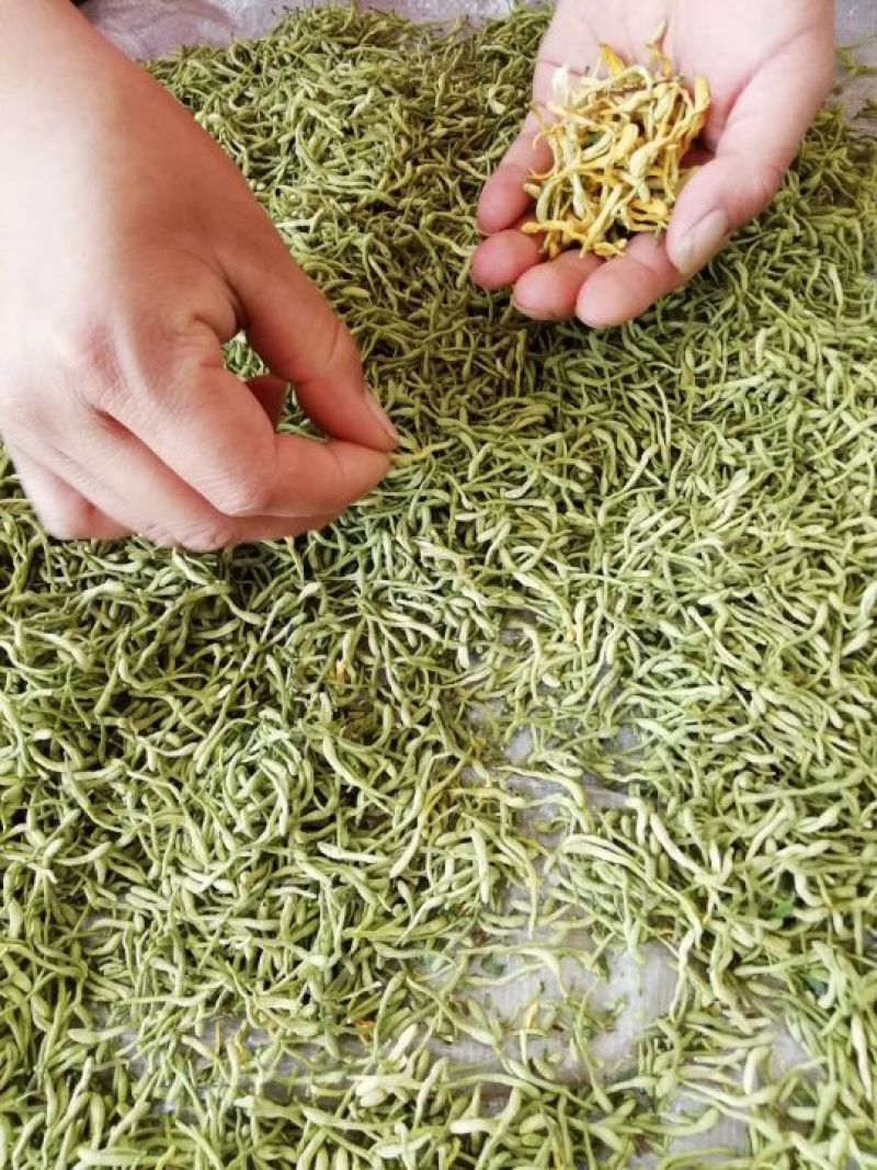 金银花山东绿货(包含量)