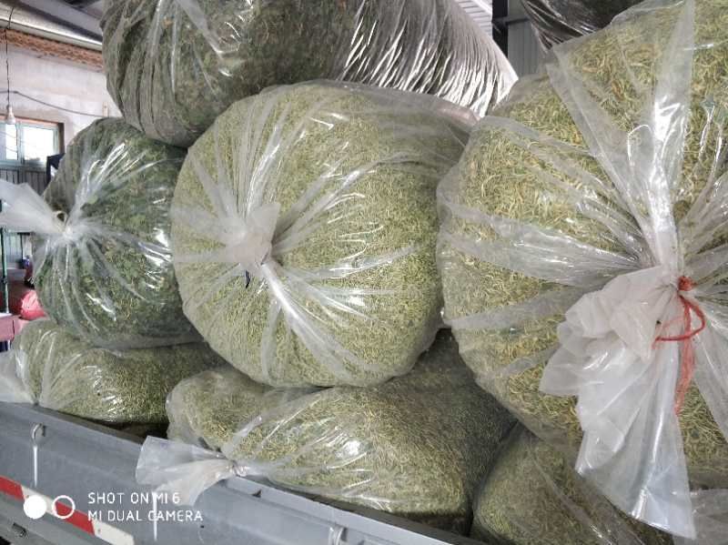 金银花山东绿货(包含量)