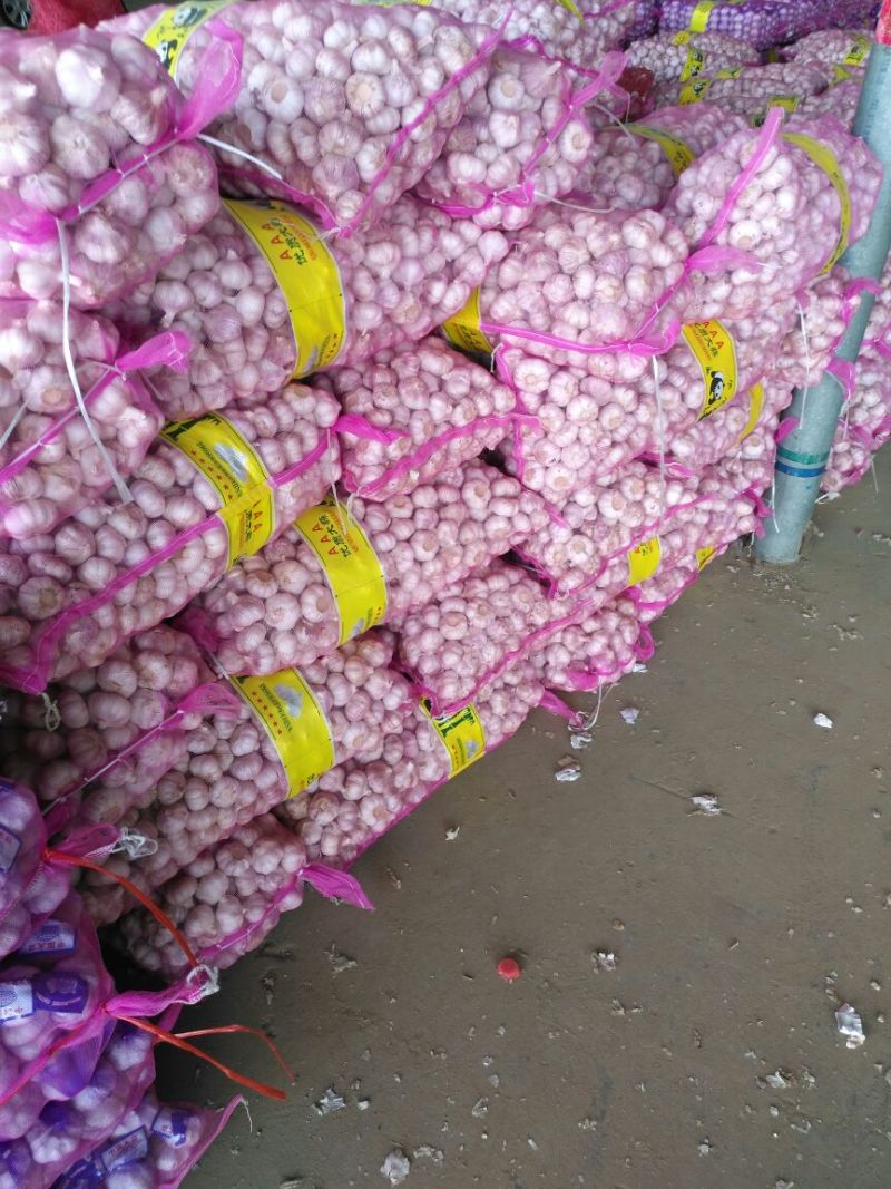 【热卖中】金乡大蒜新蒜老蒜紫皮蒜专业代收代存代发市场商超