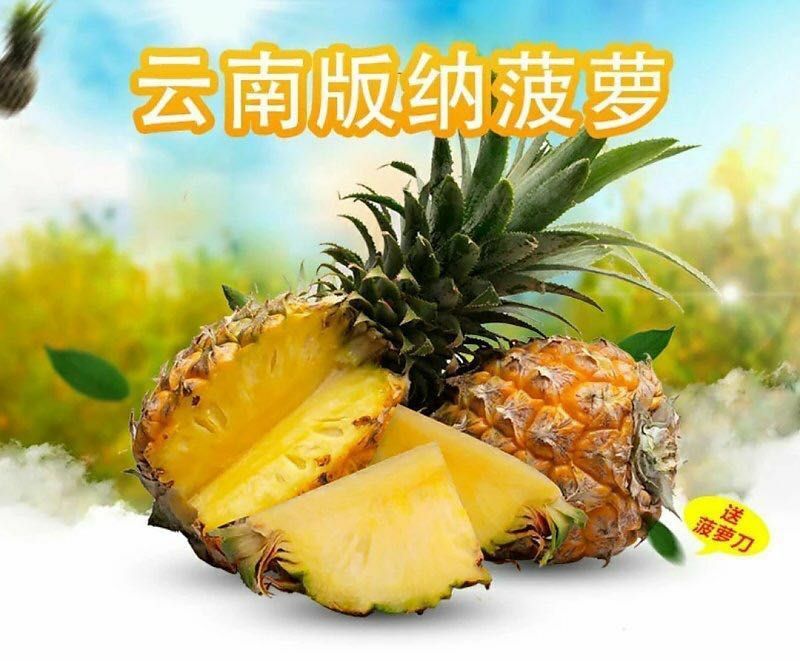 西双版纳无眼凤梨3—6斤
