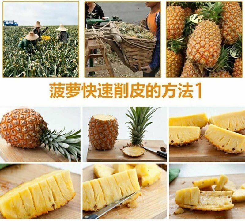 西双版纳无眼凤梨3—6斤
