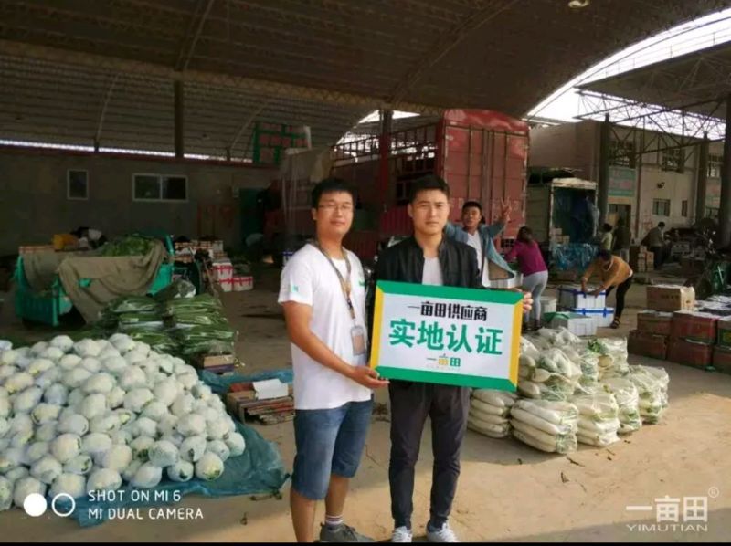 紫光圆茄产地发货量大质优欢迎联系接商超市场电商
