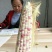 精选白糯玉米20~30%，产地直发。合作共赢！