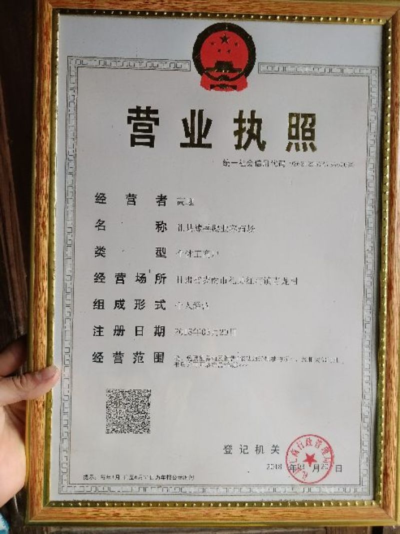 鹅，鹅苗，杂交野兔，，大公鸡，鱼，羊，猪