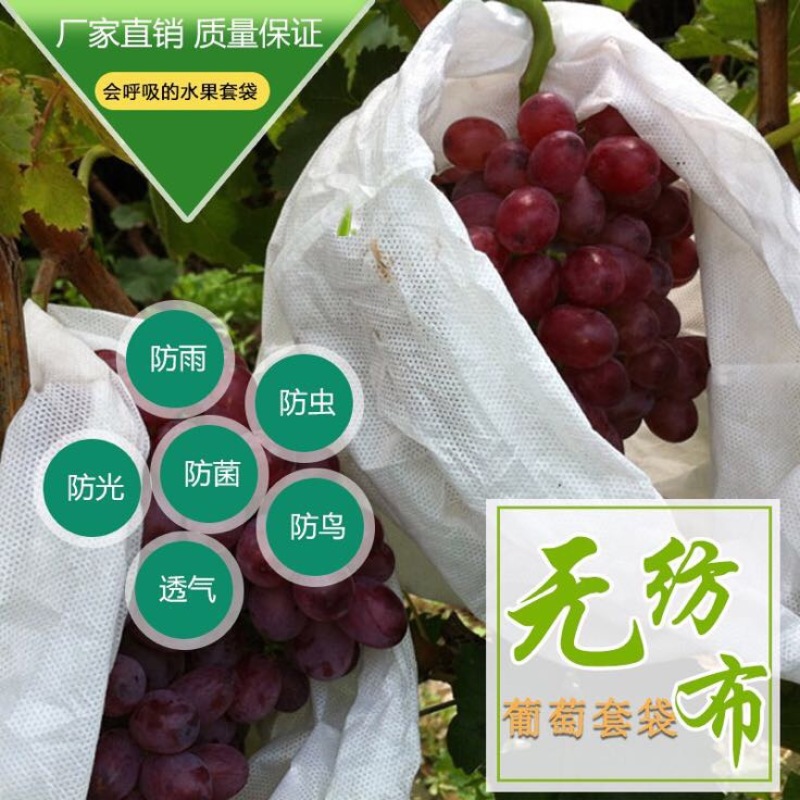 葡萄袋中号无纺布葡萄套袋28×38