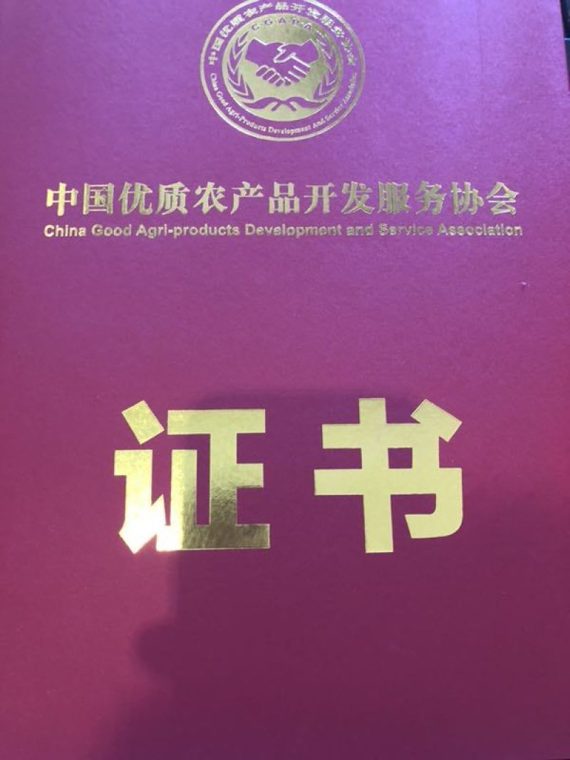 竹排竹片竹竿竹制品