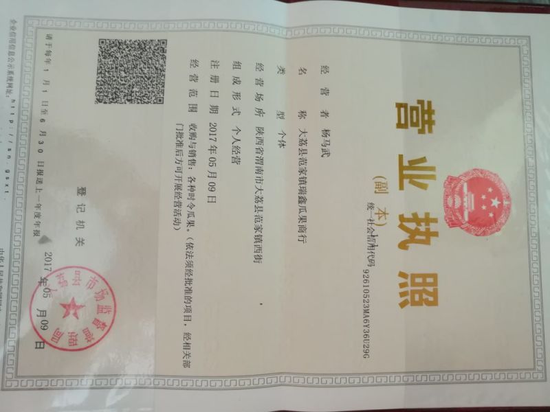 中华寿桃，桃王99基地批发，