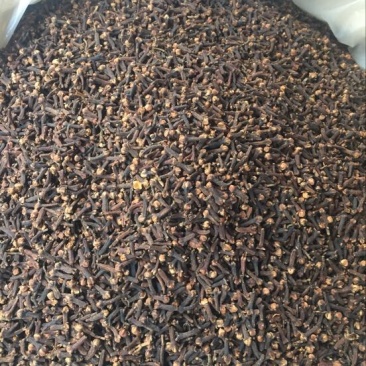 丁香公丁香