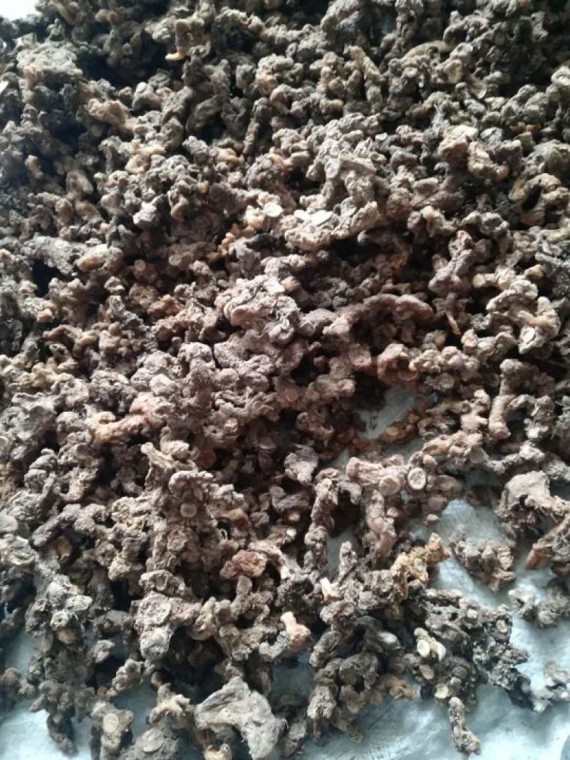 黄精中大货