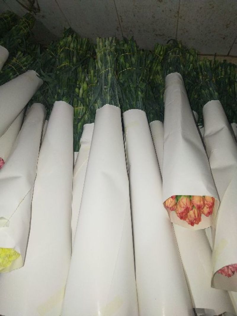 玫瑰康乃馨配花