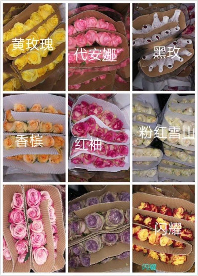 玫瑰康乃馨配花