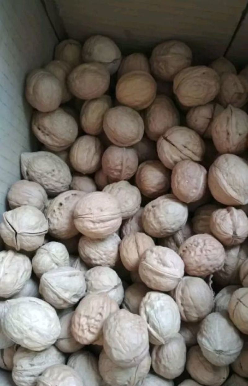 薄皮核桃，仁大，干香脆，