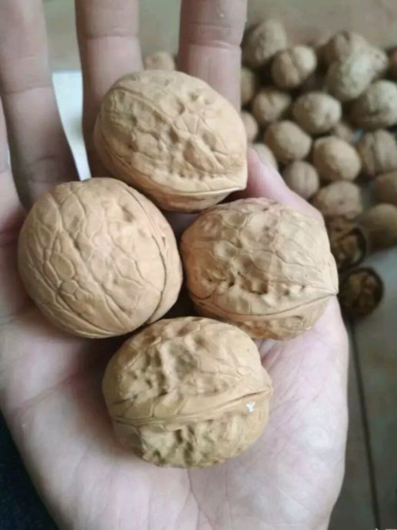 薄皮核桃，仁大，干香脆，