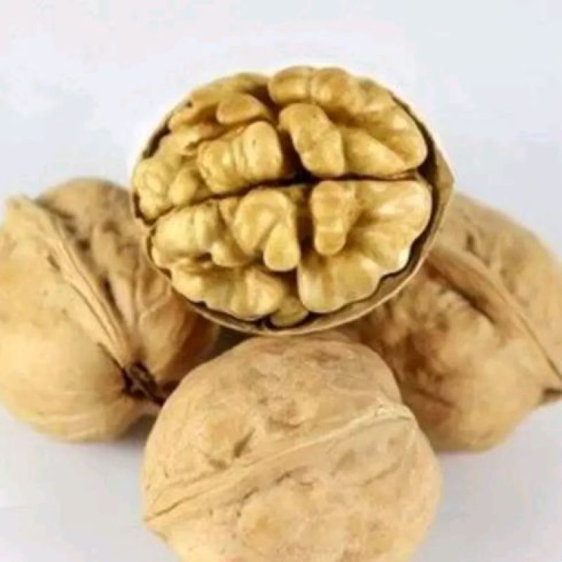 薄皮核桃，仁大，干香脆，