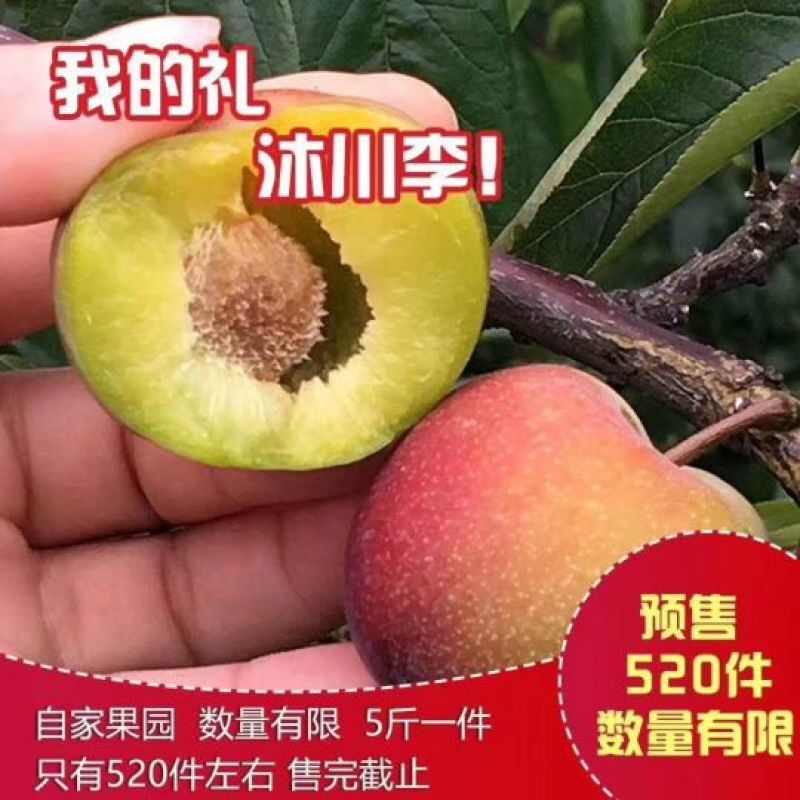 脆红李，半边红