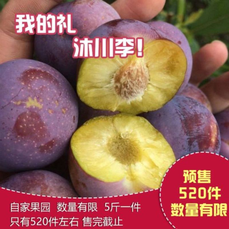 脆红李，半边红