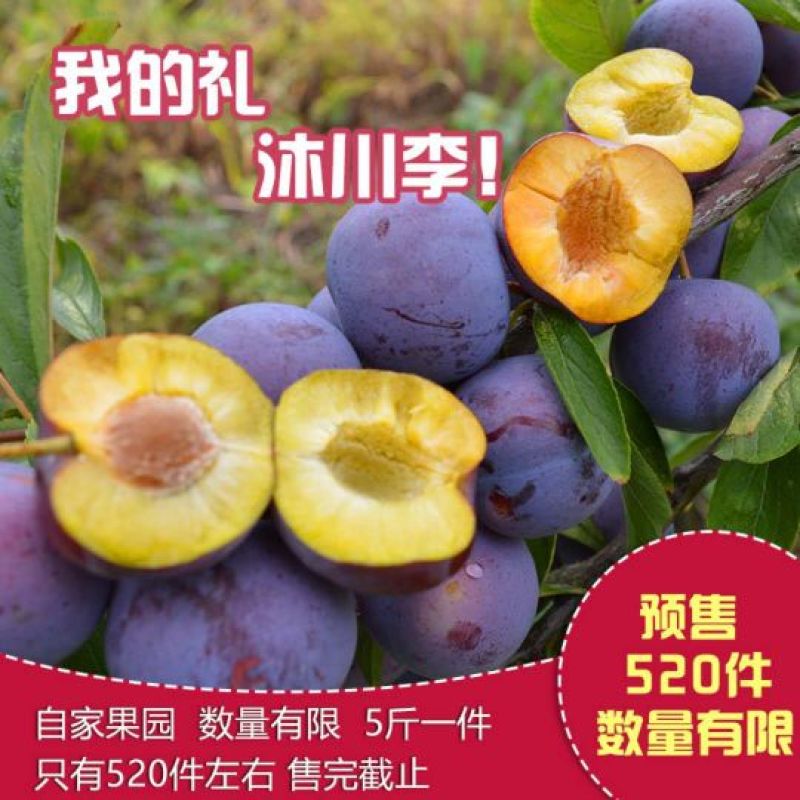 脆红李，半边红