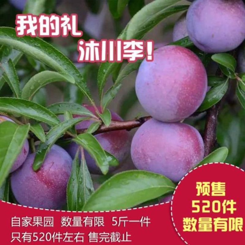 脆红李，半边红