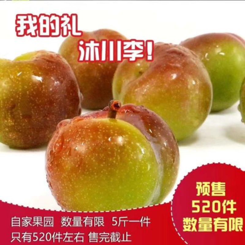 脆红李，半边红