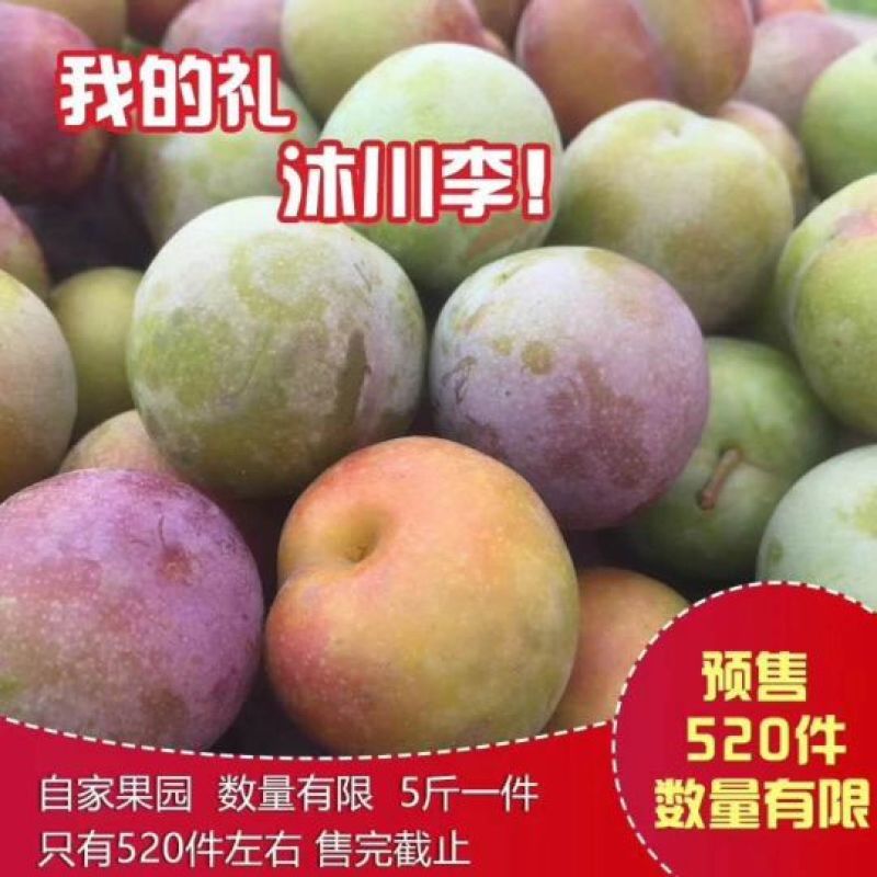 脆红李，半边红