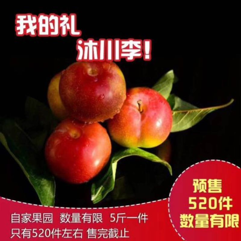 脆红李，半边红
