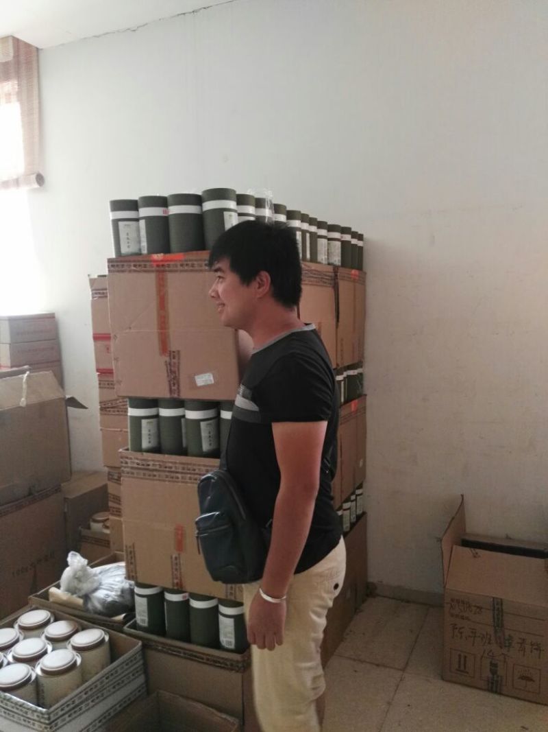 绿茶滇绿春茶特级翠茗一级银丝早春普洱茶