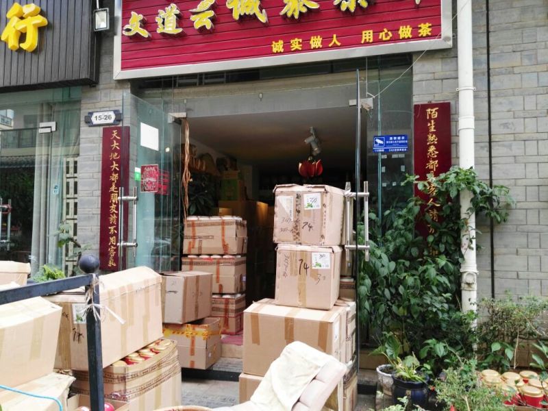 绿茶滇绿春茶特级翠茗一级银丝早春普洱茶