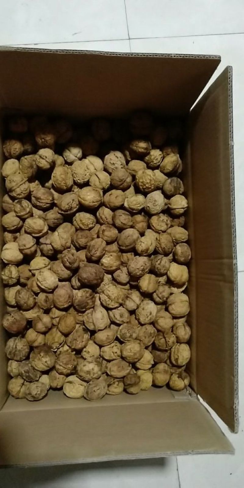 薄皮核桃