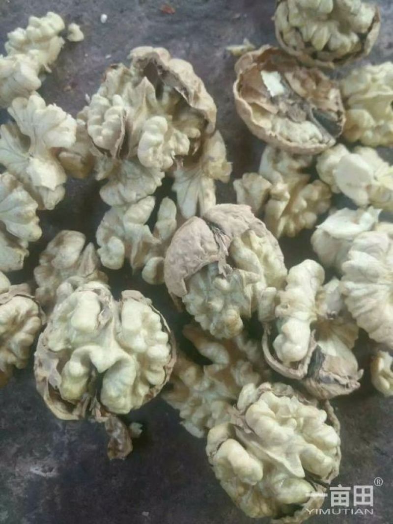 薄皮核桃