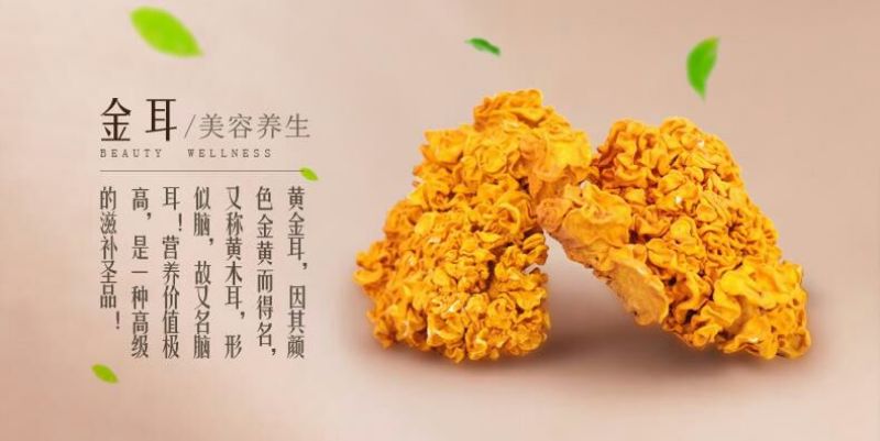 金耳干货