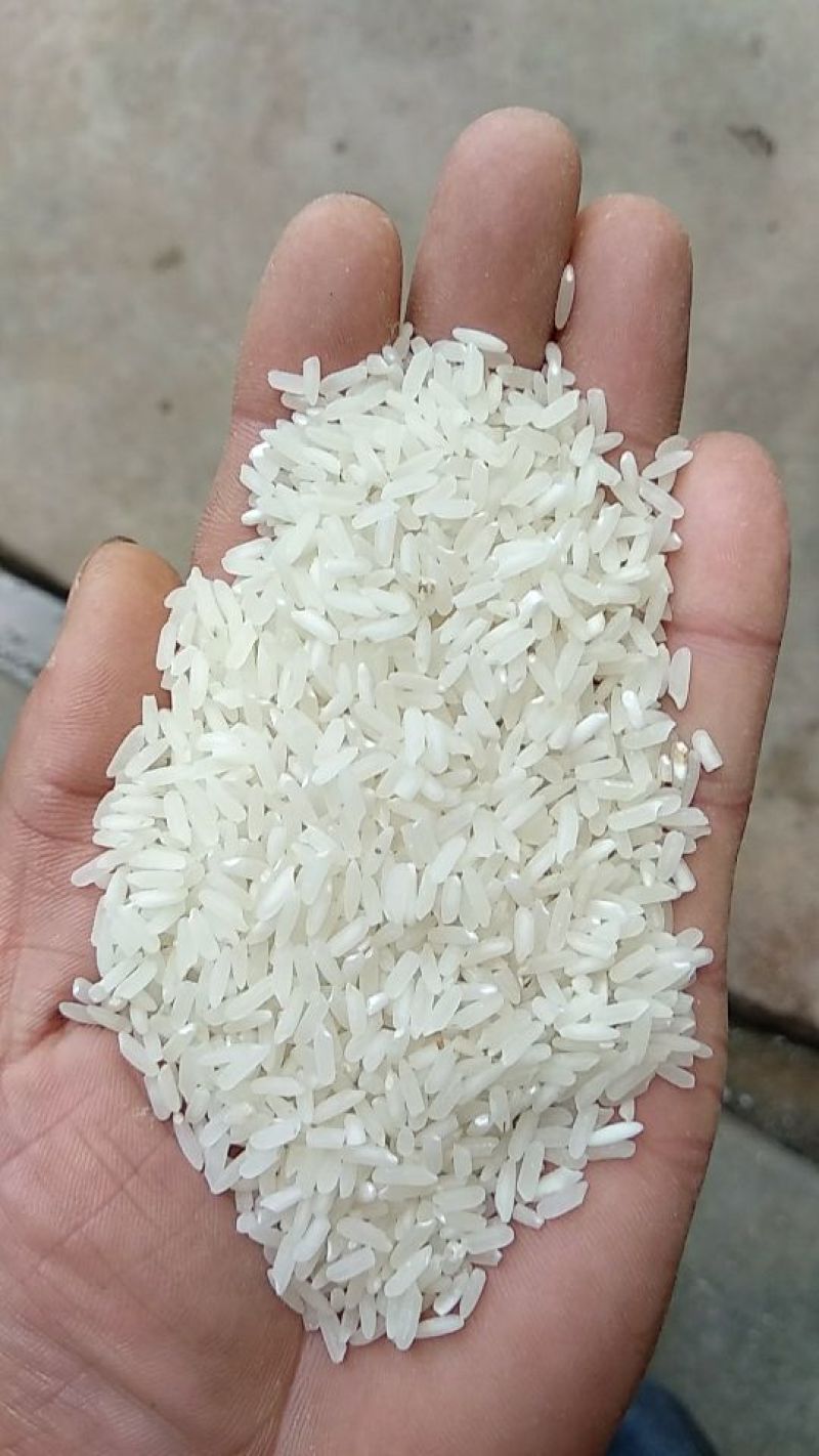 大米黄华占