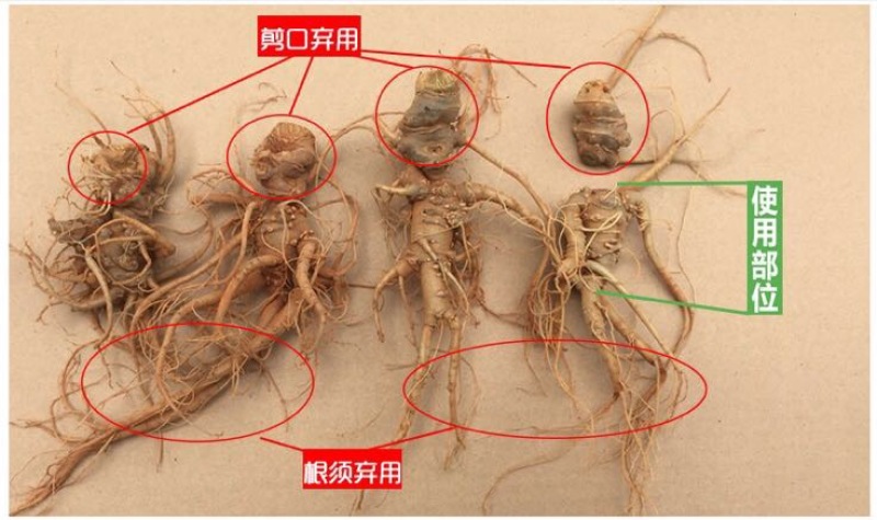 三七粉细粉