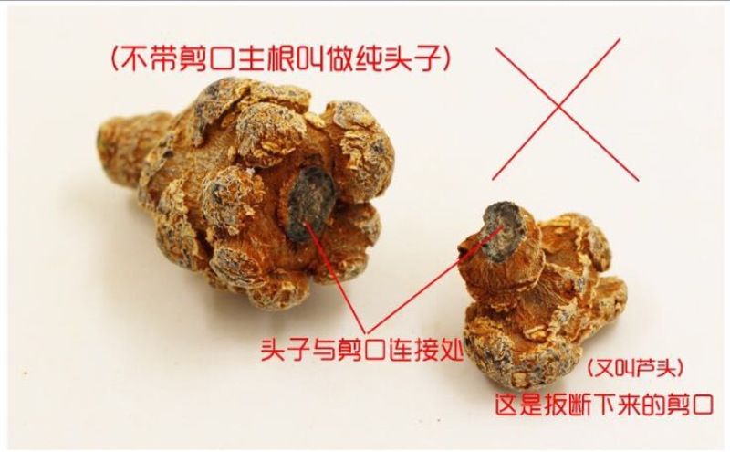 三七粉细粉