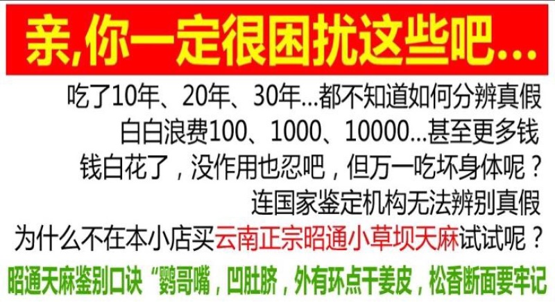 天麻粉