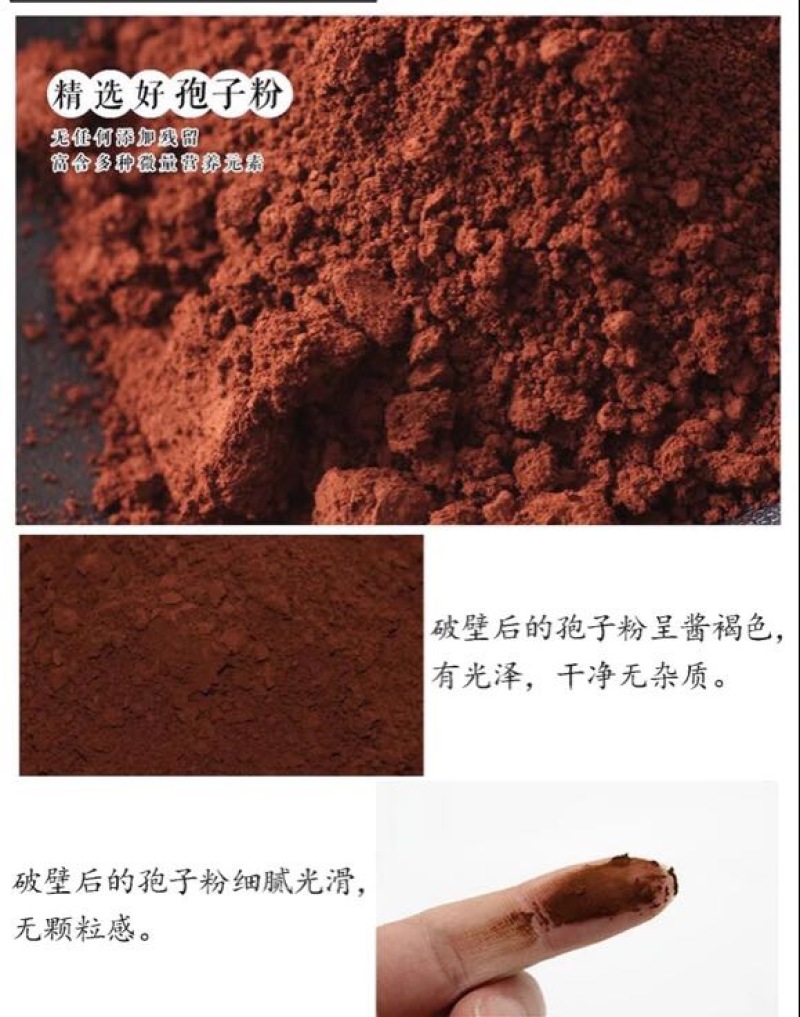 灵芝孢子粉8公分以下