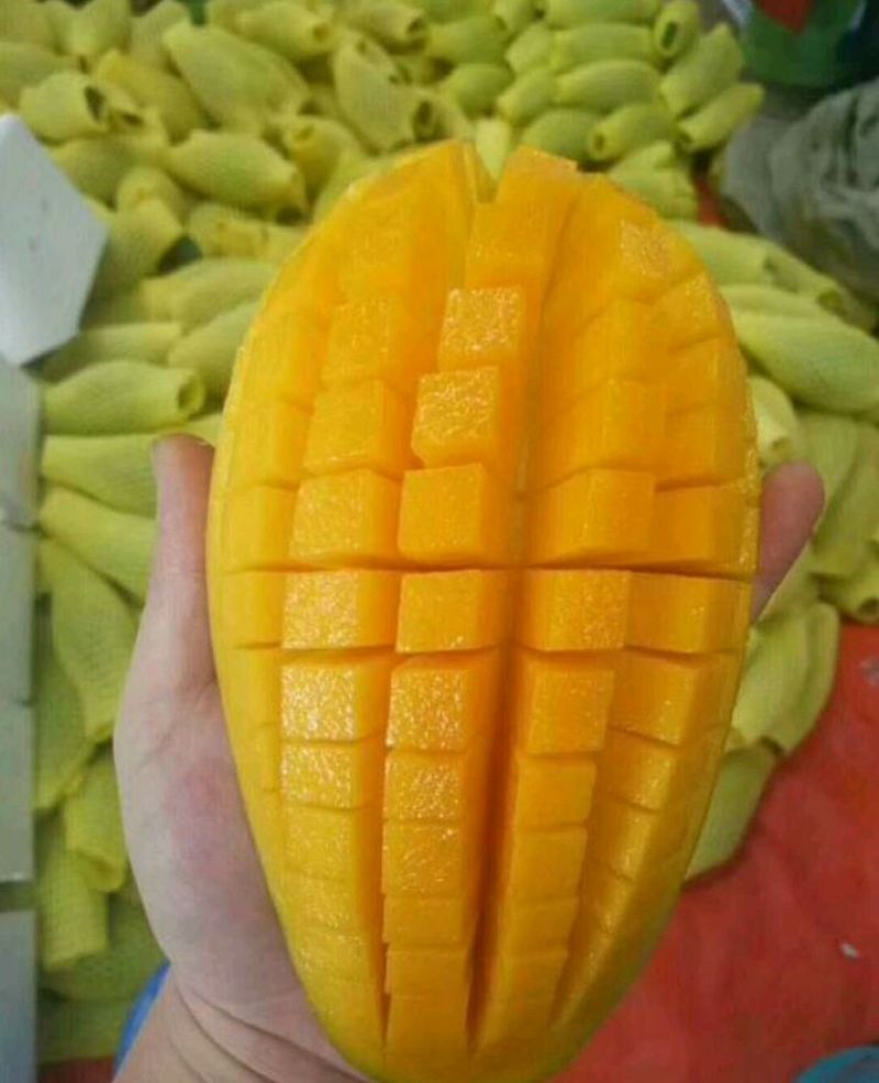 芒果大青芒果10斤当季新鲜热带水果大量批发